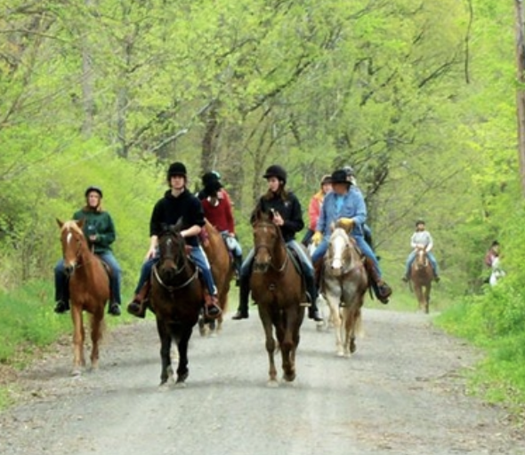 Five Brooks Ranch + Stables: Point Reyes National Seashore